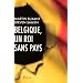 Belgique, un roi sans pays