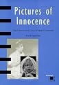 Pictures of Innocence: The History and Crisis of Ideal Childhood (Interplay)