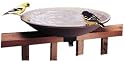API 645 Bird Bath Bowl with Tilt-to-Clean Deck Rail Mounting Bracket