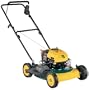 Yard-Man 11AS106D701 Self Starter Walk Behind Mower