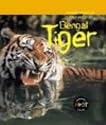 Tiger (Animals in Danger)