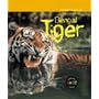 Tiger (Animals in Danger) (Animals in Danger)