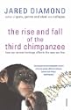 The Rise