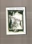 Portrait Of A Lady (Retrato Intimo De Una Dama) [NTSC/REGION 1 & 4 DVD. Import-Latin America]
