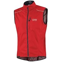 Gore Men's Path As Vest