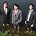 The Young Knives