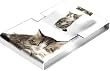 Fun Flags - Kitty - FREE SHIPPING -3 pack - 72 Self stick Pop-Up Flags Per Dispenser