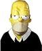 Search : Simpsons Homer Vinyl Oversized Mask Adult Costume