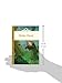 Robin Hood (Silver Penny Stories)