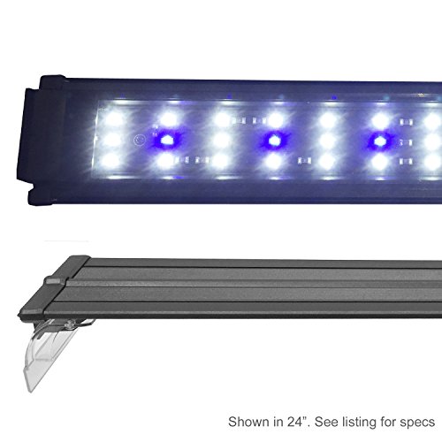 Beamswork EX 0.10W Series LED Aquarium Light Freshwater Cichlid Marine FOWLR (18 Inch)