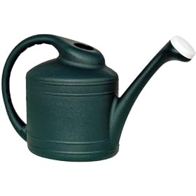 Wc8112fe 2 Gal Watering Can - Ames - True Temper
