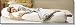 Sleeping Bean Body Pillow Feather Fill and Pillowcase