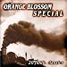 Orange Blossom Special: 20 Fiddle Classics