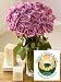 Two Dozen United Plant Savers Rose Bouquet