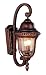 Trans Globe Lighting 4921 ABZ Antique Bronze Outdoor Renaissance Two Light Up Lighting Outdoor Wall