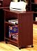 Office Products : Matching Cherry Printer Stand with Casters and Sto