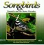 Songbirds of Yosemite and the Sierra Nevadas
