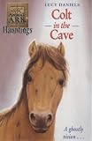 Colt in the Cave (Animal Ark Hauntings)