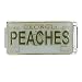 License Plate Georgia Italian Charm Bracelet Bracelet Link License Plate Georgia Italian Charm Bracelet Bracelet Link
