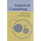 Statistical Consulting by Javier Cabrera, Andrew McDougall, and A. McDougall