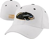 Wisconsin-Milwaukee Panthers White Top of the World Flex Hat