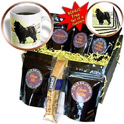 Dogs Chow Chow - Black Chow - Coffee Gift Baskets - Coffee Gift Basket by 3dRose LLC