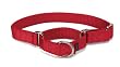 Premier Collar Medium 1-Inch, Red