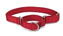 Premier Collar Medium 1-Inch, Red