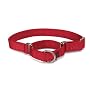 Premier Collar Medium 1-Inch, Red