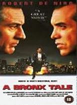 A Bronx Tale [DVD] [1993]