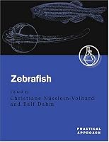 Zebrafish: A Practical Approach (The Practical Approach Series, 261)