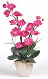 Double Stem Phalaenopsis Silk Flower Arrangement - Beauty - B001DQH6MK