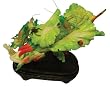 Intricately carved auspicious cabbage sculpture - genuine bone, large