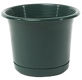 Duraco #DF4-00246 4-3/4 Green Plant/Saucer