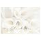 White Calla Lilies Thank You