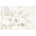 White Calla Lilies Thank You
