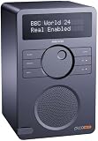 REVO Pico Wi-Fi Portable Outdoor FM and Internet Radio