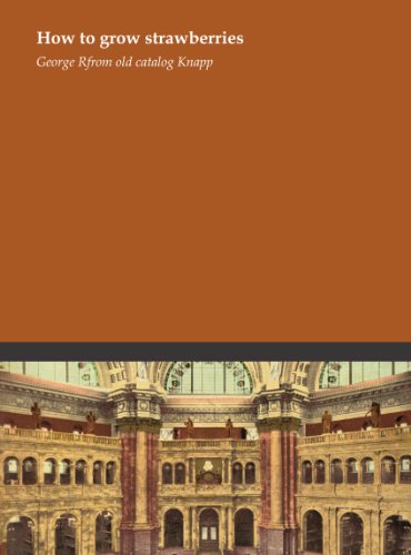 how to grow strawberries