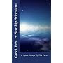 Starship Stinedern by Gary L Beer