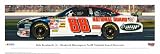 Dale Earnhardt Jr. 88 Panoramic Photo Print