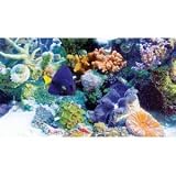 3D Aquarium [Blu-ray 3D]