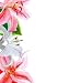 Artistic Border from Lily Flowers (watercolors) - 24