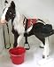 Sporting Goods : Butterscotch S'Mores Interactive Horse Saddle Set - SW Gift Bucket!