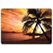 Skinware Palm Sunset