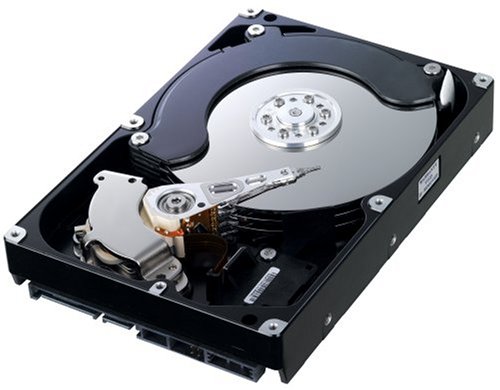 Childrens Toyshop  Computer : Samsung Spinpoint 500GB Hard Disk Drive 7200RPM 16MB SATA300