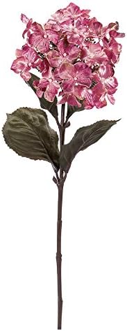 Etude Hyde range A / FX007944 (japan import)