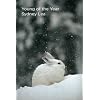 Young of the Year (Malcolm McDonald Series Selection)