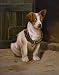 A Misfit Book Illustration of Jack Russell Terrier - 24"H x 19"W - Peel and Stick Wall Decal by Wallmonkeys