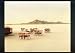 Books : Crimes and Splendors: The Desert Cantos of Richard Misrach