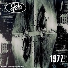 1977